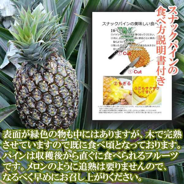 パイナップル ちぎって食べる スナックパイン 沖縄県 大玉 Lサイズ 2kg (約1kg×2玉)