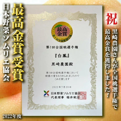 白桃 おかやま夢白桃 中大玉約1.5kg