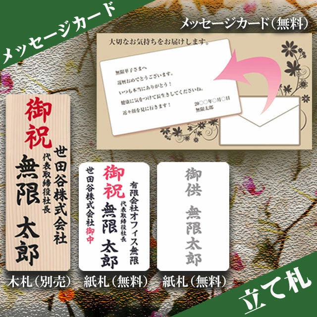 胡蝶蘭大輪45輪3本立ち
