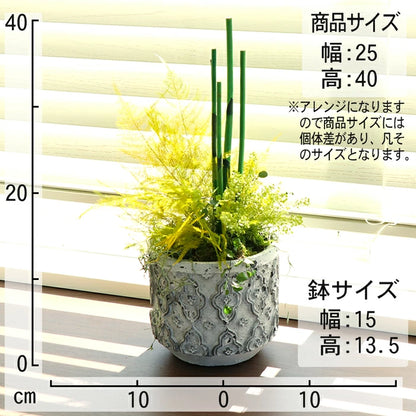 観葉植物 フェイクグリーン ペラ