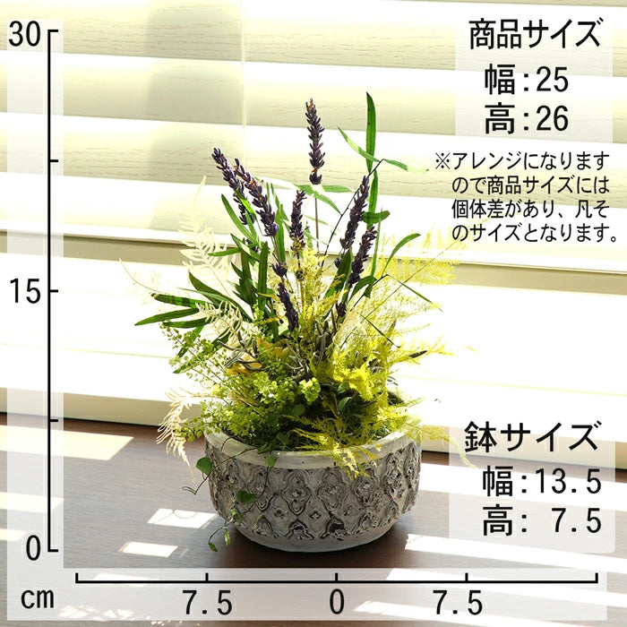 観葉植物 プリザーブドフラワー