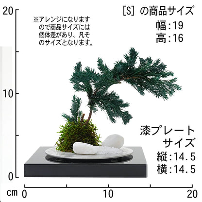 枯れない 盆栽 プリザーブドフラワー 漆 松 ギフト