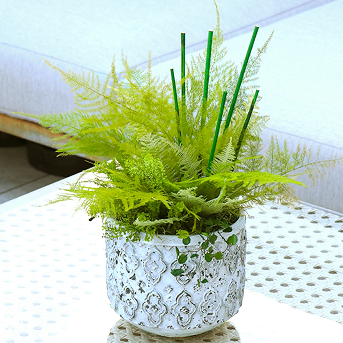 観葉植物 フェイクグリーン ペラ