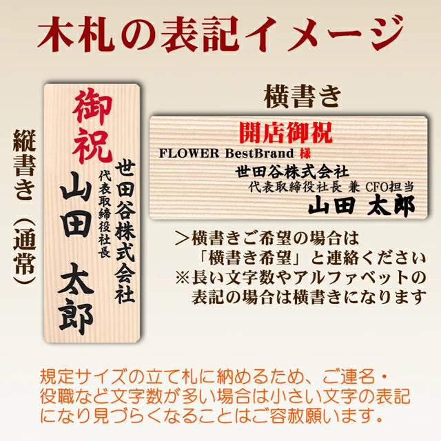 胡蝶蘭大輪3本立ち45輪SE