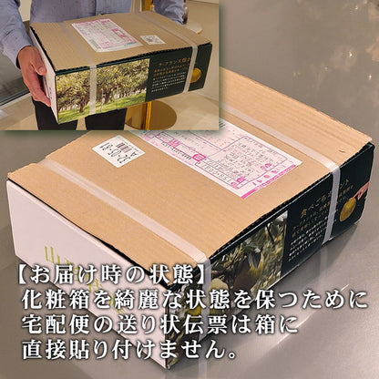 ラフランス 洋梨 山形県産 約3kg 特大玉 大玉 中玉 秀品 プレミアム ラ・フランス 洋ナシ