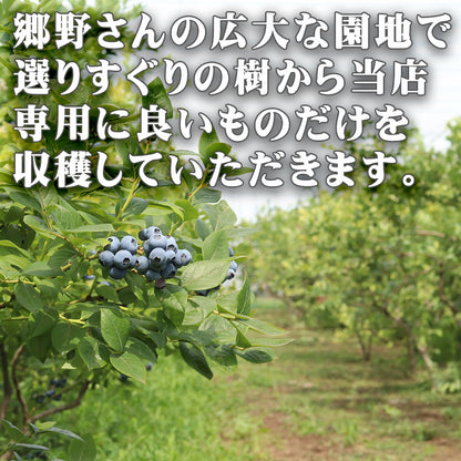 ブルーベリー 無農薬 自然栽培 栃木県 生 大粒 1kg (約500g×2パック)