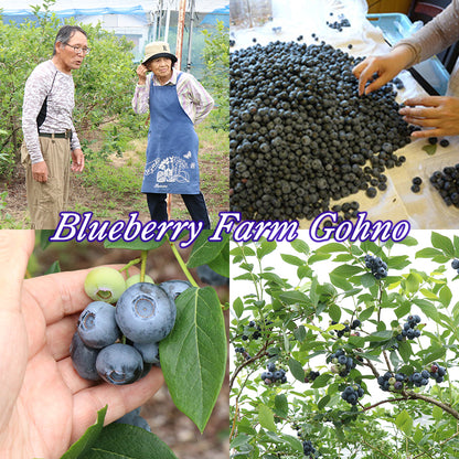 ブルーベリー 無農薬 自然栽培 栃木県 生 大粒 1kg (約500g×2パック)