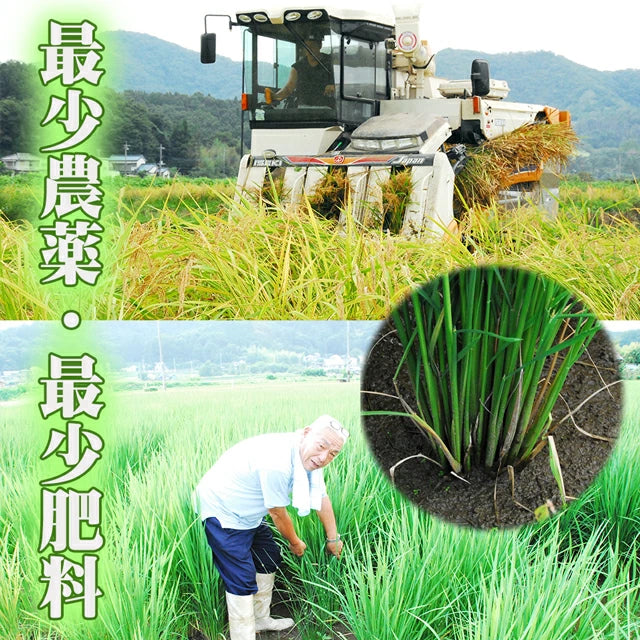 新米 コシヒカリ 令和7年産 2025年産 栃木県 農家直送 発送中