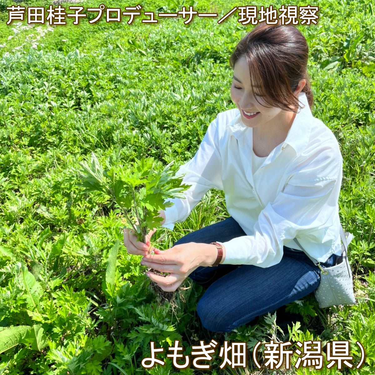 漢方スタイリスト芦田桂子「ラグジュアリーよもぎ茶」（20包入り）