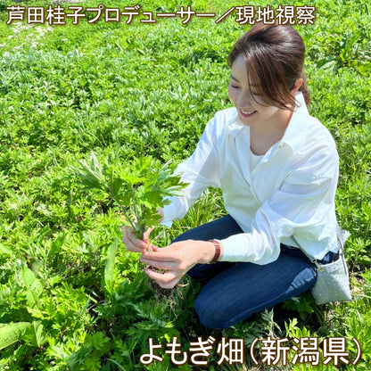 漢方スタイリスト芦田桂子「ラグジュアリーよもぎ茶」（20包入り）
