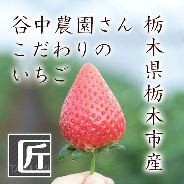 栃木県産高級ブランドいちご「スカイベリー」280g×2パック