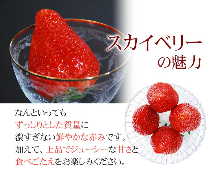 栃木県産高級ブランドいちご「スカイベリー」280g×2パック