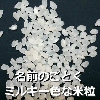 新米 ミルキークイーン 令和7年産 2025年産 栃木県 農家直送 発送中