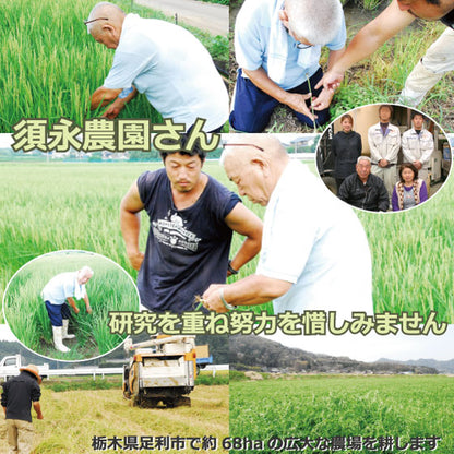 新米 コシヒカリ 令和7年産 2025年産 栃木県 農家直送 発送中