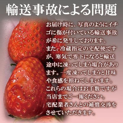 栃木県産高級ブランドいちご「スカイベリー」280g×2パック