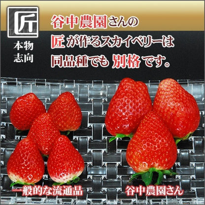 栃木県産高級ブランドいちご「スカイベリー」280g×2パック