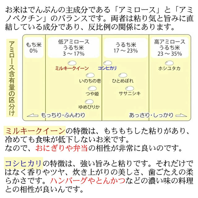新米 コシヒカリ 令和7年産 2025年産 栃木県 農家直送 発送中