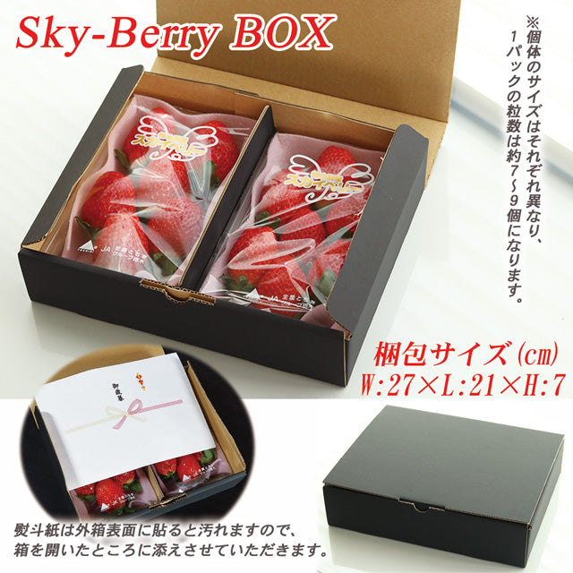 栃木県産高級ブランドいちご「スカイベリー」280g×2パック