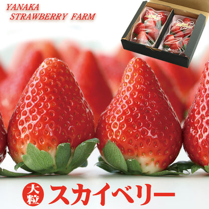 栃木県産高級ブランドいちご「スカイベリー」280g×2パック