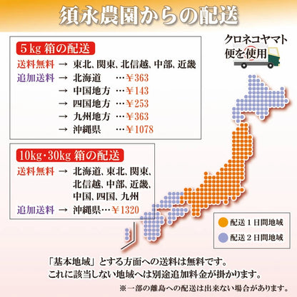 新米 コシヒカリ 令和7年産 2025年産 栃木県 農家直送 発送中