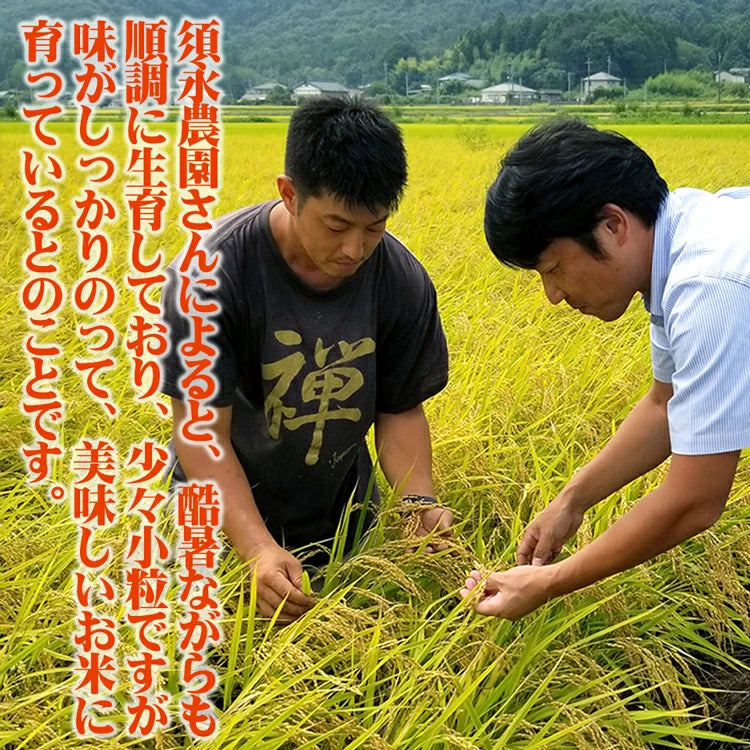 新米 コシヒカリ 令和7年産 2025年産 栃木県 農家直送 発送中