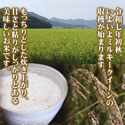 新米 コシヒカリ 令和7年産 2025年産 栃木県 農家直送 発送中