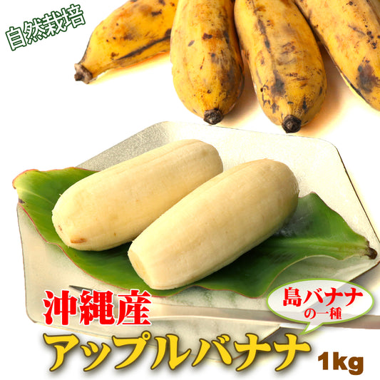 沖縄県産 島バナナ アップルバナナ 1kg 個包装 高級 国産 希少