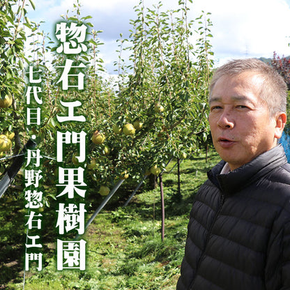 ラフランス 洋梨 山形県産 約3kg 特大玉 大玉 中玉 秀品 プレミアム ラ・フランス 洋ナシ