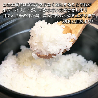 新米 コシヒカリ 令和7年産 2025年産 栃木県 農家直送 発送中